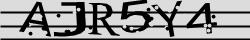Retype the CAPTCHA code from the image
